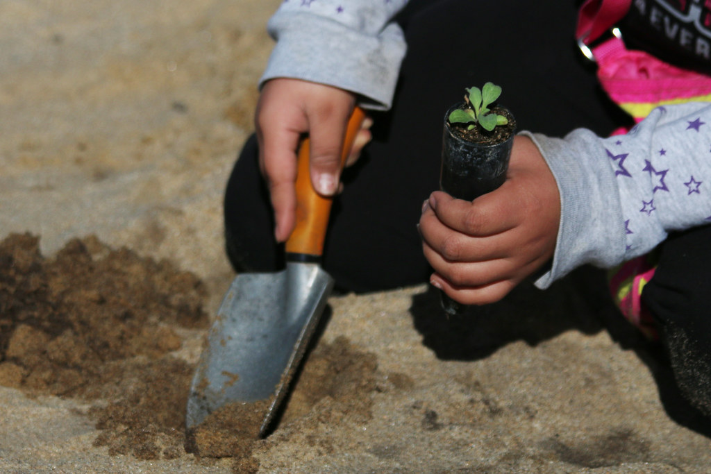 Why We Do It, image showing young child with a small shovel planting a small plant